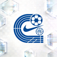 牛八体育官方品牌Logo